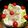 どらM＆K's cooksnap of when they made ストウブde蒸し豚×キャベツ　ソースは.