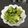 よこ！'s cooksnap of when they made 簡単☆キャベツとピーマンの塩昆布漬け.
