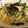 ◆しまこ◆'s cooksnap of when they made オイルサーデンの和風パスタ.