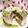 もっひ〜's cooksnap of when they made お抹茶ケーキwithホワイトチョコ.