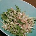 ＧＡＥ.'s cooksnap of when they made ゴボウと水菜のシャキシャキサラダ♪.
