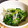 くりーむ鯛焼き♪'s cooksnap of when they made ほうれん草としらすのおひたし.