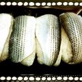 ＳＮＲ's cooksnap of when they made 絶品！コノシロの押し寿司❁.