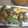 なぎさ2008's cooksnap of when they made 鮭と豆腐のオイスターソース炒め.