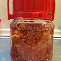 kanaemina's cooksnap of when they made ざくろ酒（ザクロ酒）.