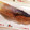 Emicham1's cooksnap of when they made 基本のき・鮭のムニエル.