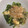 ひなちゃん2号's cooksnap of when they made 節約！大根菜と油揚げの煮浸し.