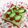 龍青空ママ's cooksnap of when they made クリーミー☆アボガド☆トマト☆トースト.