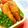 キョク's cooksnap of when they made 和風なソース味♪さかなフライどんぶり♪.