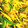 sara99's cooksnap of when they made 秋の旬野菜 マコモタケとピーマンの炒め.