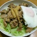 はちやん。's cooksnap of when they made ＜お家カフェ＞豚肉のスタミナ丼.