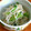 だいきママ2010's cooksnap of when they made ＊小松菜ともやしのレンジで簡単ナムル＊.