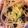 ｆ0360's cooksnap of when they made 牛肉のみぞれ煮パスタ.