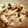 さえはる＊'s cooksnap of when they made 鮭としめじのマヨ炒め.