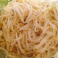 AbicoJan's cooksnap of when they made 止まらない！絶品もやしのナムル.