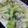 すずきえきさ's cooksnap of when they made 鶏肉ときのこの豆乳煮込み.