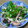 jaconora's cooksnap of when they made 秋鮭ハラスと平茸の炒め.