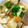 olivia206's cooksnap of when they made 我が家の■◇豚汁◇■.