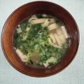 プルンバゴ's cooksnap of when they made 基本の味噌汁〜豆腐と油揚げとねぎ〜.