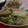 でゅるけむ's cooksnap of when they made 手羽先と冬野菜の素材煮.
