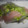 abumix's cooksnap of when they made マグロとアボガドの生春巻き.