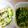 mairin12's cooksnap of when they made 子ども大好き♪ナムル風菜めし.