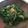 ぷーすぬ's cooksnap of when they made 春菊のタップリごまごま和え.