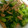 しふぉん★☆'s cooksnap of when they made ブロッコリーとお魚ソーセージのオイマヨ炒.