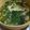 akincho16's cooksnap of when they made 春菊とふわふわ卵のお味噌汁.