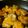 かすてら１２'s cooksnap of when they made 美味しいよ！お母さんの鶏ケチャップ！.