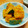みつこ姉's cooksnap of when they made 風邪ひきさんの☆かぼちゃの煮物.