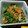 ♡Catherine's cooksnap of when they made 小松菜とツナのごま和え.