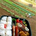 ミチコ☆ロンドン's cooksnap of when they made 混ぜるだけ☆お弁当ハンバーグソース♫.