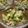 ぽんずー's cooksnap of when they made ■コーンな四角豆と卵のサラダ■.