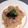 waikoable's cooksnap of when they made たっぷりきのこの和風スパ*レモン風味.