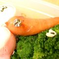 ぴーぴー豆's cooksnap of when they made お弁当に　ウインナーの鳥.