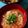 大井町子's cooksnap of when they made スタミナ☆トマト餃子スープ.