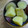 はーとねこ's cooksnap of when they made 甘くてほっこり、さつまいもの甘煮♡.