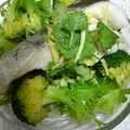 うさぎ姫っこ's cooksnap of when they made 白身魚のレンジ蒸しにじゅわっとごま油かけ.