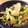 ruman's cooksnap of when they made ☆青梗菜の塩炒め☆.