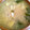 koroo16's cooksnap of when they made 青梗菜と卵のスープ.