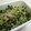 りんばたまま's cooksnap of when they made ごはんがすすむ♪大根の葉としらすの炒め物.