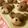 あ・み's cooksnap of when they made テディ風くまさんパン.