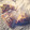 asup05's cooksnap of when they made 皮ごとかぼちゃのスコーン♩.