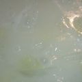クックE459AH☆'s cooksnap of when they made 簡単★白菜のクリーム煮.