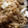 とんがりくん。's cooksnap of when they made 長いもとえのきの和え物.