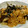 ねこ♪たま's cooksnap of when they made 秋ナスは…嫁は良く食う　簡単卵ソース.