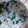 ひっちょろ's cooksnap of when they made 簡単お茶漬け.