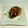 ぽんこ♡'s cooksnap of when they made おうちでも　サザエのつぼ焼き.