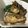 はらぺこドラゴン's cooksnap of when they made 圧力鍋で簡単に出来るさんまの煮付け.